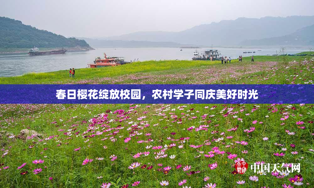 春日樱花绽放校园，农村学子同庆美好时光