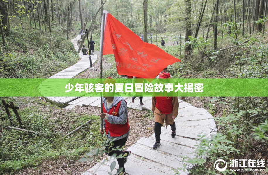 少年骇客的夏日冒险故事大揭密