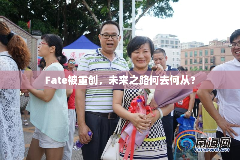 Fate被重创，未来之路何去何从？