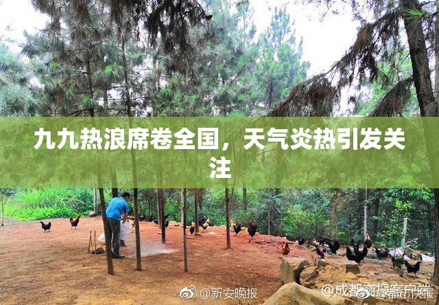 九九热浪席卷全国，天气炎热引发关注