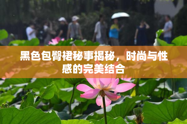 黑色包臀裙秘事揭秘，时尚与性感的完美结合