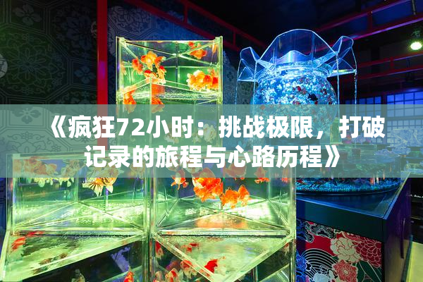 《疯狂72小时：挑战极限，打破记录的旅程与心路历程》