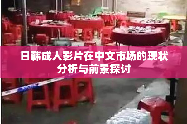 日韩成人影片在中文市场的现状分析与前景探讨