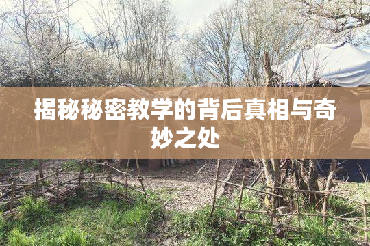 揭秘秘密教学的背后真相与奇妙之处