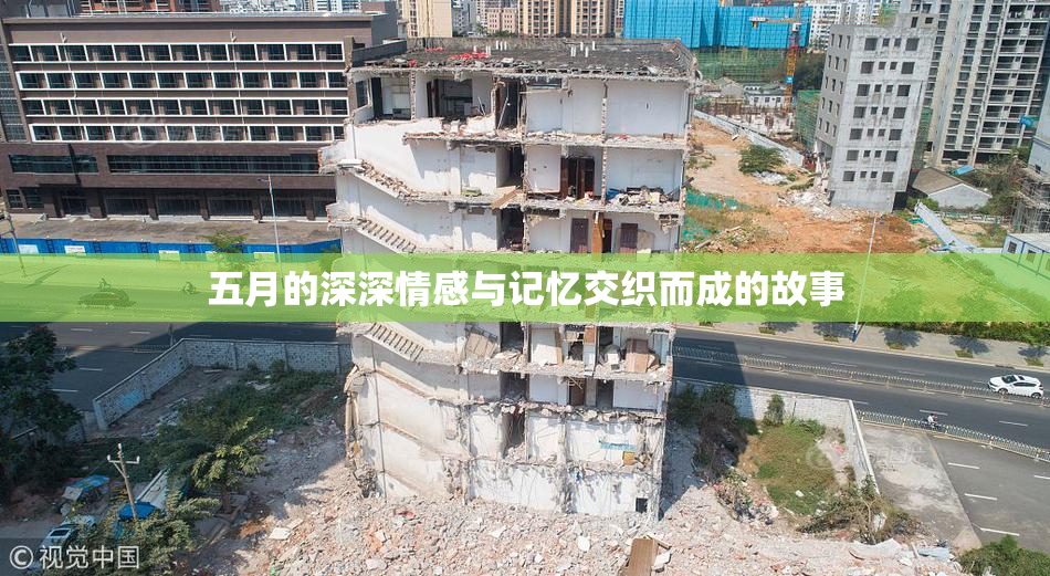 五月的深深情感与记忆交织而成的故事