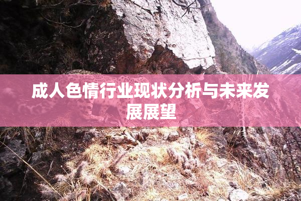 成人色情行业现状分析与未来发展展望