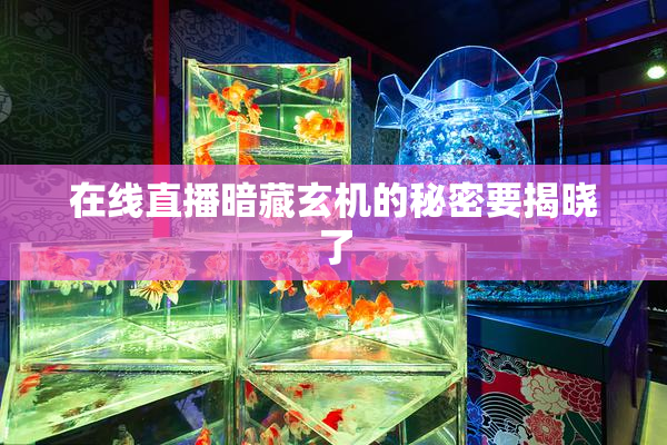 在线直播暗藏玄机的秘密要揭晓了
