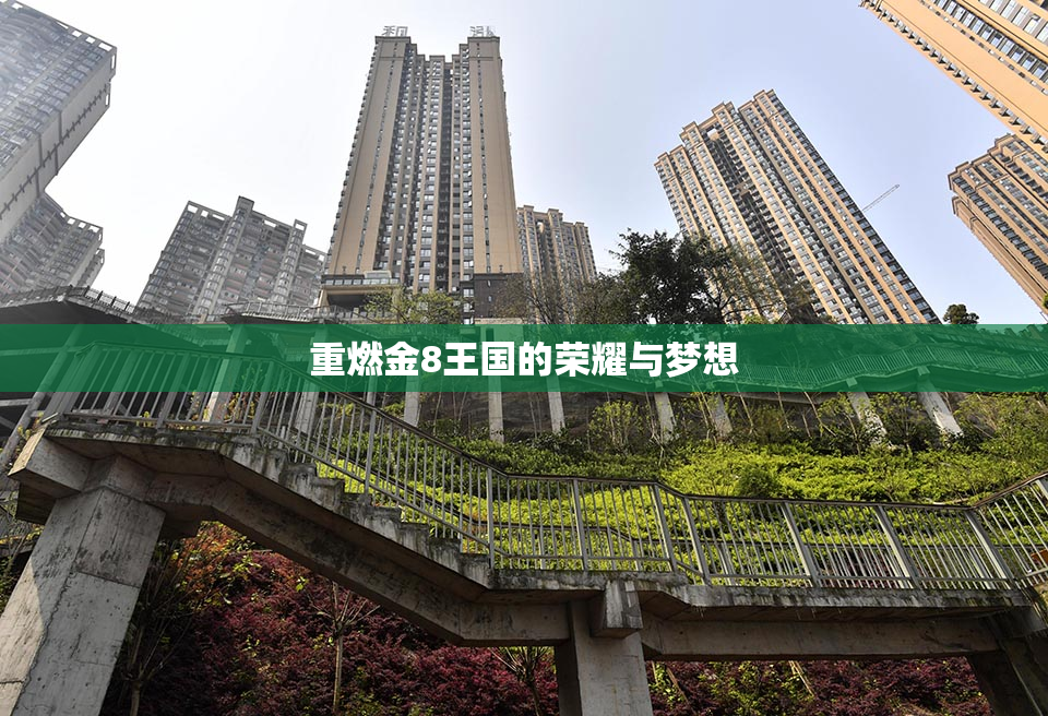 重燃金8王国的荣耀与梦想