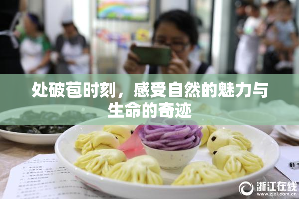 处破苞时刻，感受自然的魅力与生命的奇迹