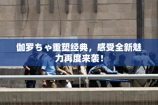 伽罗ちゃ重塑经典，感受全新魅力再度来袭！