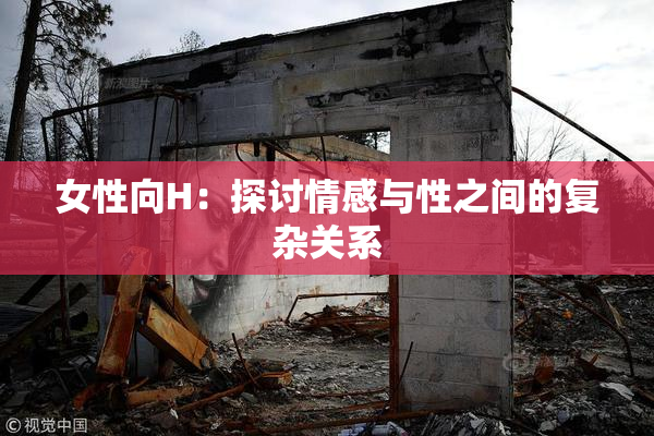女性向H：探讨情感与性之间的复杂关系