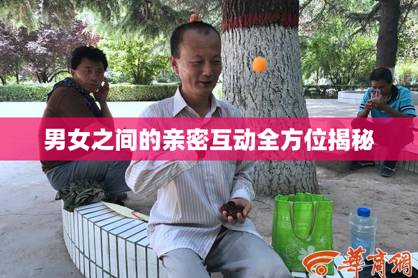 男女之间的亲密互动全方位揭秘