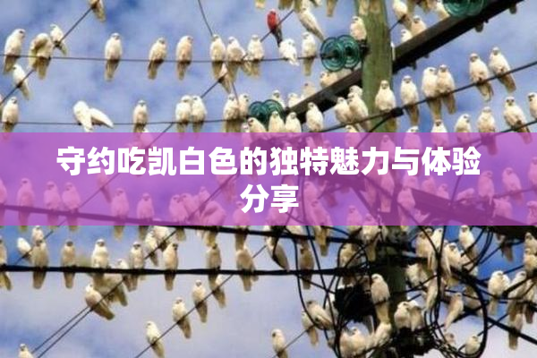 守约吃凯白色的独特魅力与体验分享