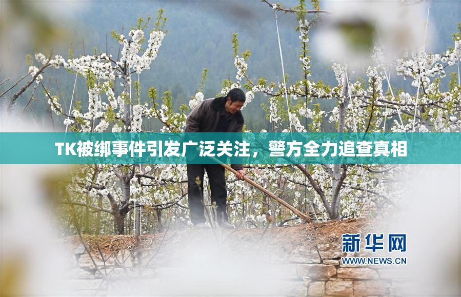 TK被绑事件引发广泛关注，警方全力追查真相