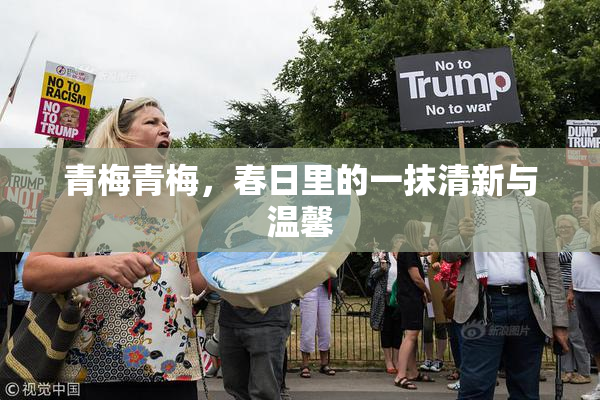 青梅青梅，春日里的一抹清新与温馨