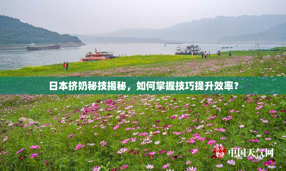 日本挤奶秘技揭秘，如何掌握技巧提升效率？