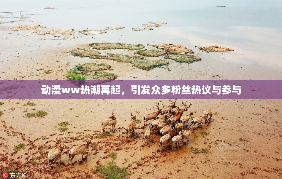 动漫ww热潮再起，引发众多粉丝热议与参与