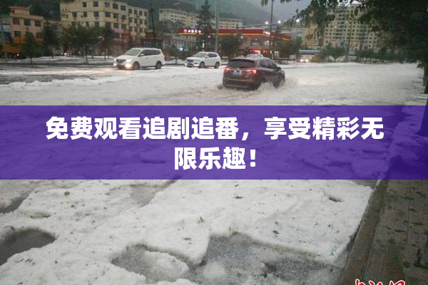 免费观看追剧追番，享受精彩无限乐趣！