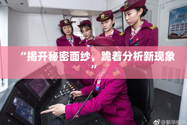 “揭开秘密面纱，跪着分析新现象”