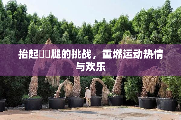 抬起妺妺腿的挑战，重燃运动热情与欢乐