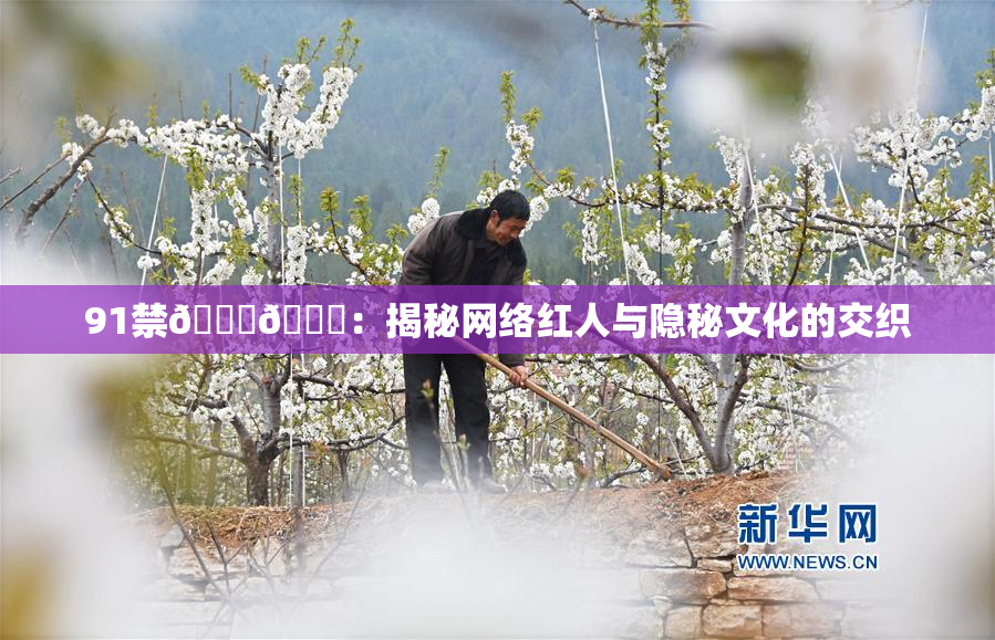 91禁🍆🍑：揭秘网络红人与隐秘文化的交织