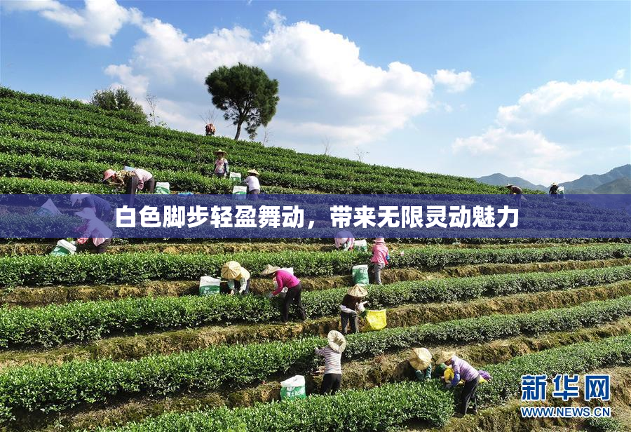 白色脚步轻盈舞动，带来无限灵动魅力