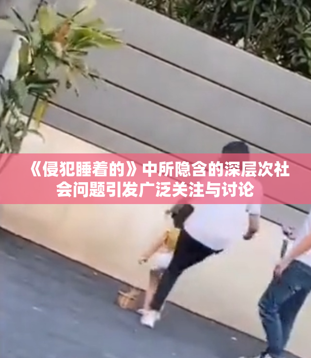 《侵犯睡着的》中所隐含的深层次社会问题引发广泛关注与讨论