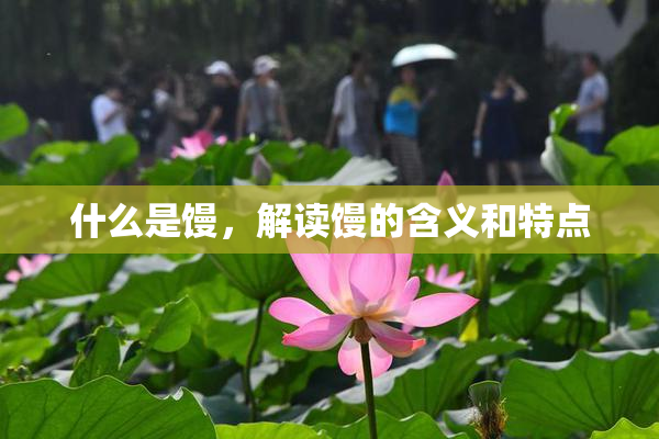什么是馒，解读馒的含义和特点