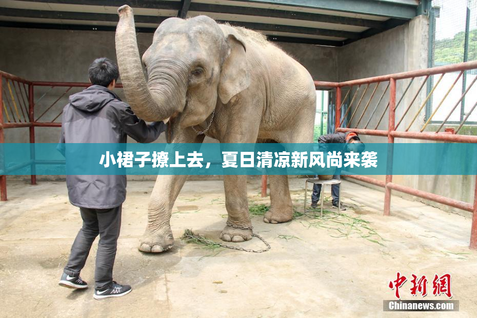 小裙子撩上去，夏日清凉新风尚来袭