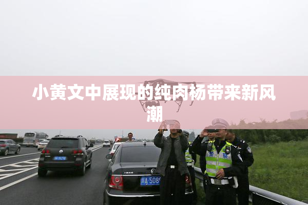 小黄文中展现的纯肉杨带来新风潮