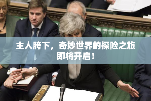 主人胯下，奇妙世界的探险之旅即将开启！