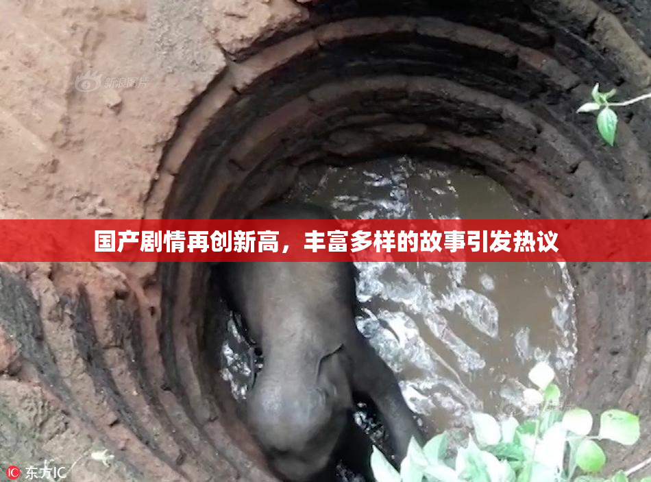 国产剧情再创新高，丰富多样的故事引发热议