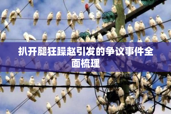 扒开腿狂躁赵引发的争议事件全面梳理