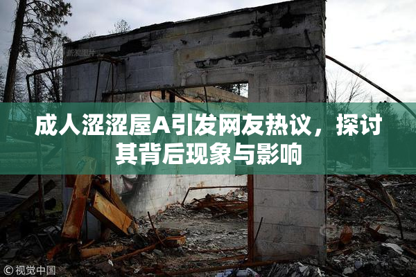 成人涩涩屋A引发网友热议，探讨其背后现象与影响