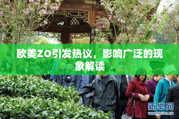 欧美ZO引发热议，影响广泛的现象解读