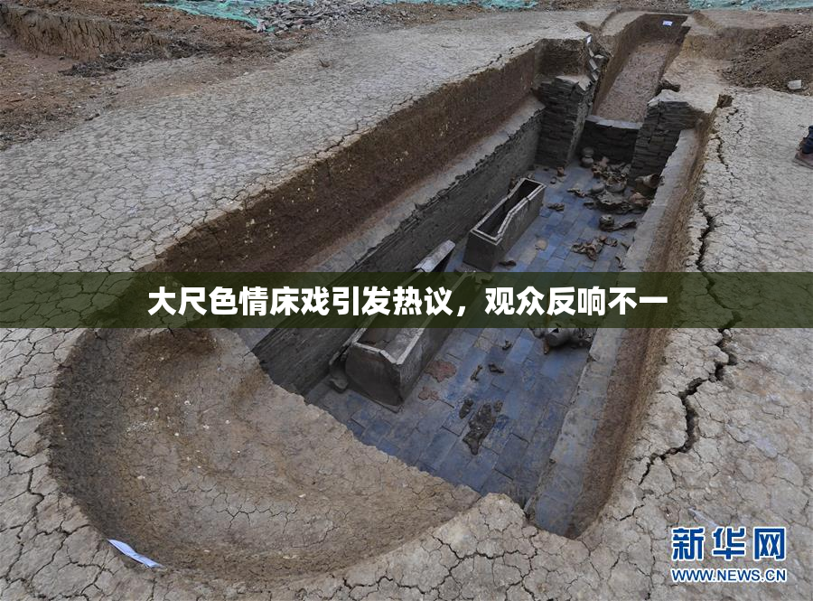 大尺色情床戏引发热议，观众反响不一