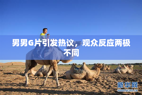 男男G片引发热议，观众反应两极不同