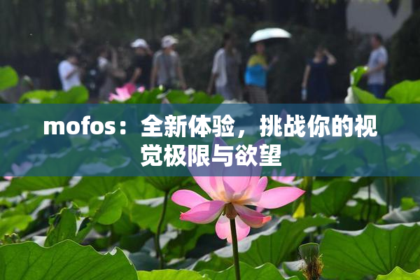 mofos：全新体验，挑战你的视觉极限与欲望