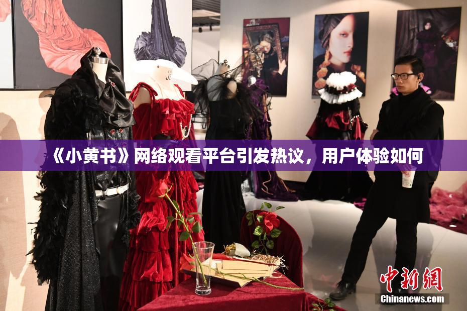 《小黄书》网络观看平台引发热议，用户体验如何