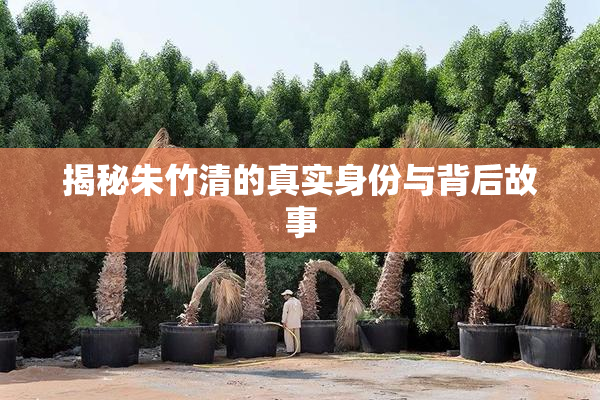 揭秘朱竹清的真实身份与背后故事