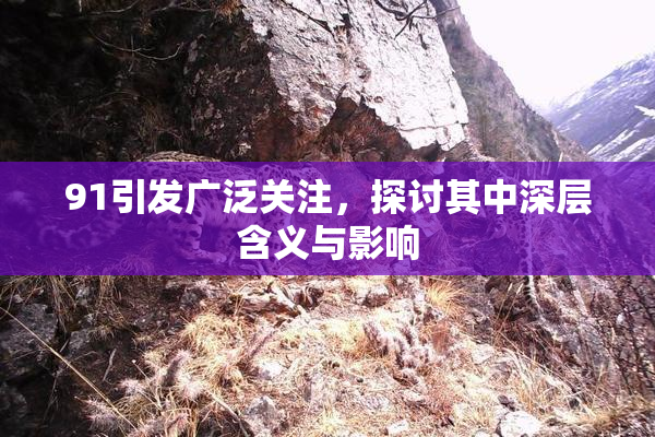 91引发广泛关注，探讨其中深层含义与影响
