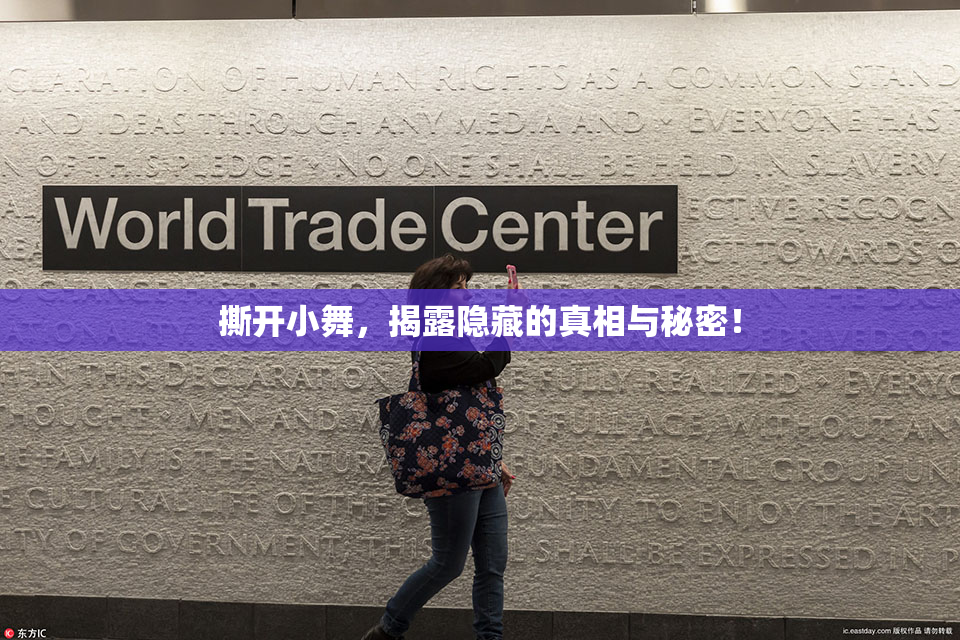 撕开小舞，揭露隐藏的真相与秘密！