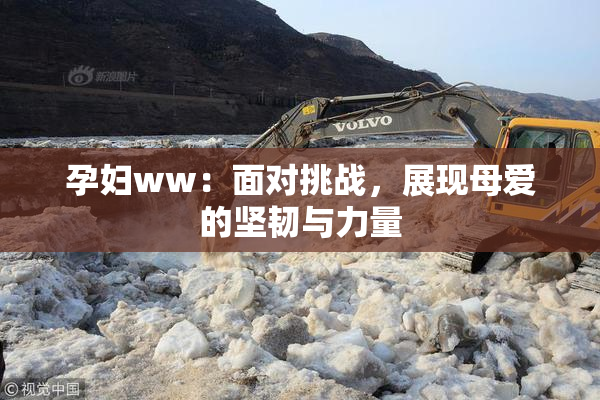 孕妇ww：面对挑战，展现母爱的坚韧与力量
