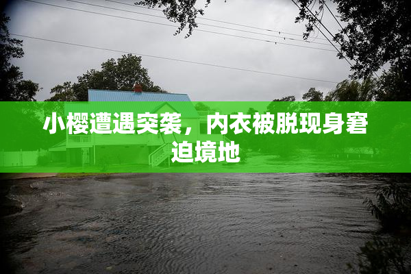 小樱遭遇突袭，内衣被脱现身窘迫境地