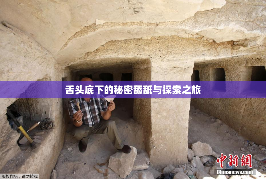 舌头底下的秘密舔舐与探索之旅