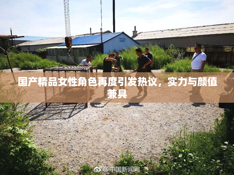 国产精品女性角色再度引发热议，实力与颜值兼具