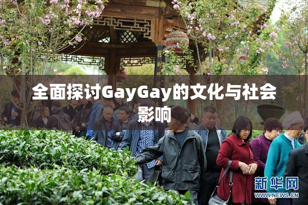 全面探讨GayGay的文化与社会影响