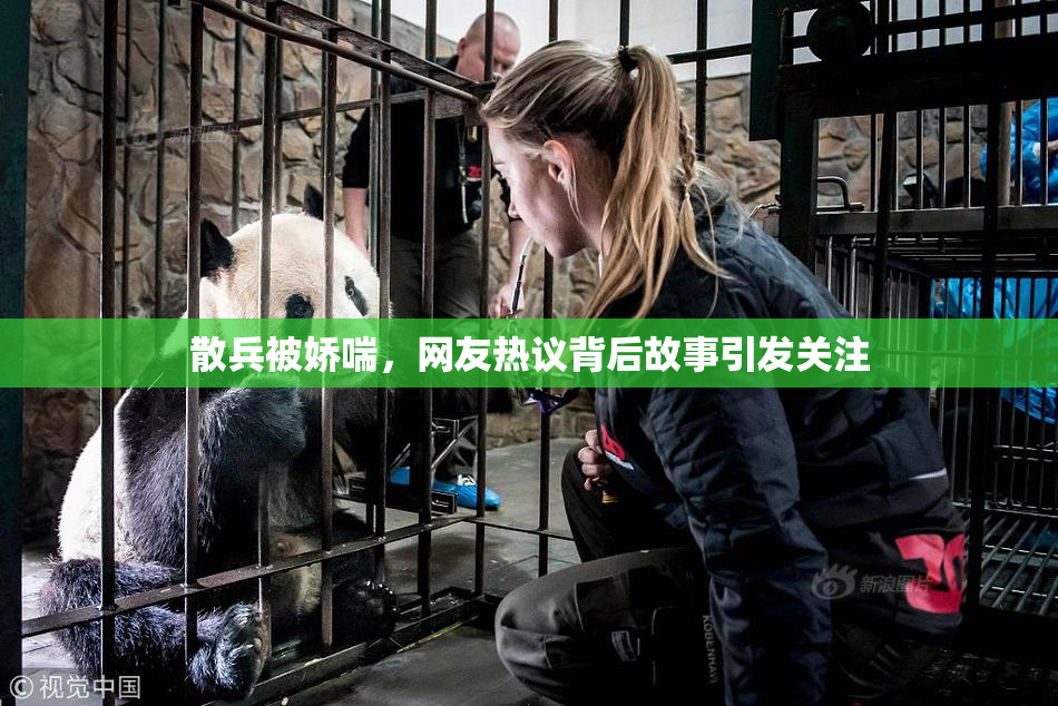 散兵被娇喘，网友热议背后故事引发关注