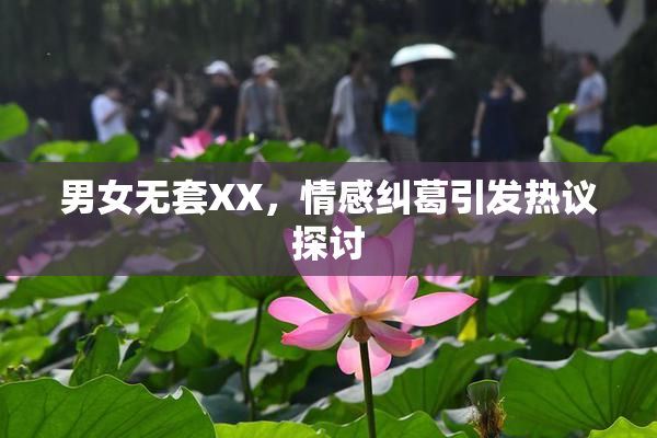 男女无套XX，情感纠葛引发热议探讨