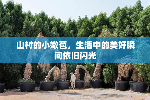 山村的小嫩苞，生活中的美好瞬间依旧闪光